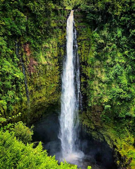 Hawaiian Waterfall