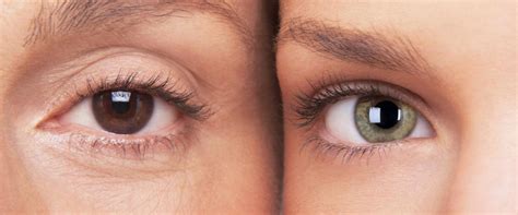 Hazel eyes in photography