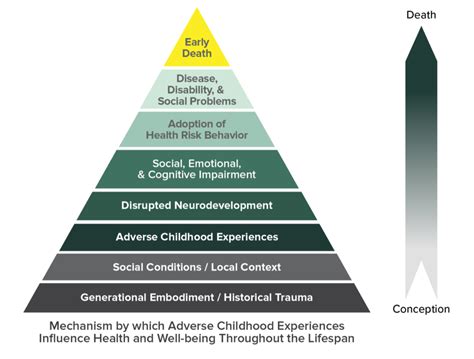 Description of Health Concerns in 1998