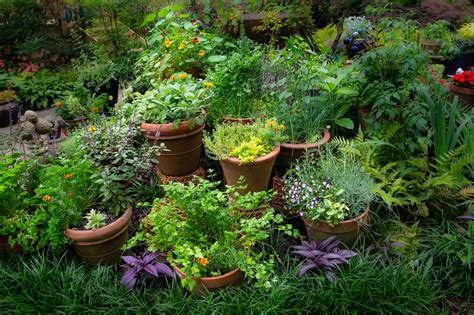 Herb Gardens