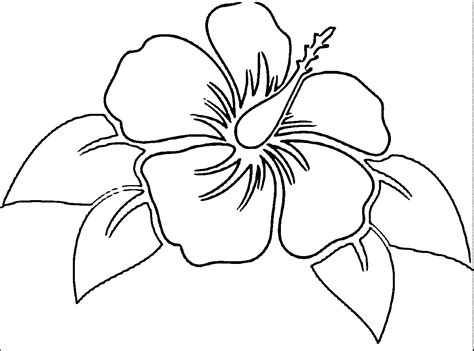 Hibiscus Printable Flower