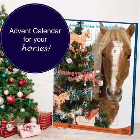 Horse Advent Calendar Ideas