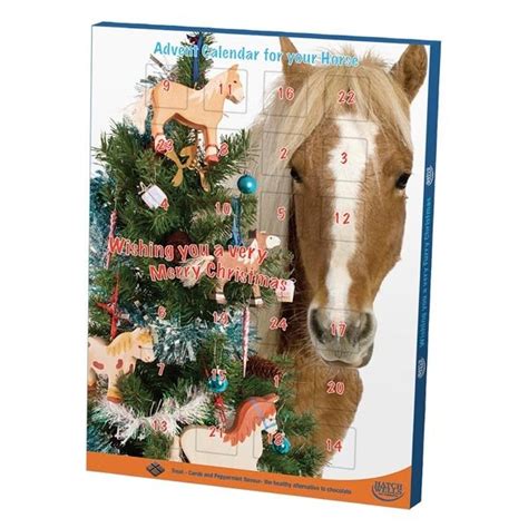 Horse Advent Calendar Ideas