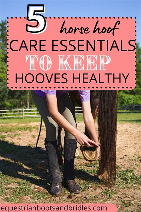 Horse Care Tips