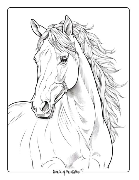 Horse coloring books