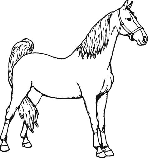 Horse coloring pages for kids