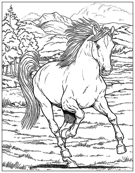 Horse coloring pages for adults