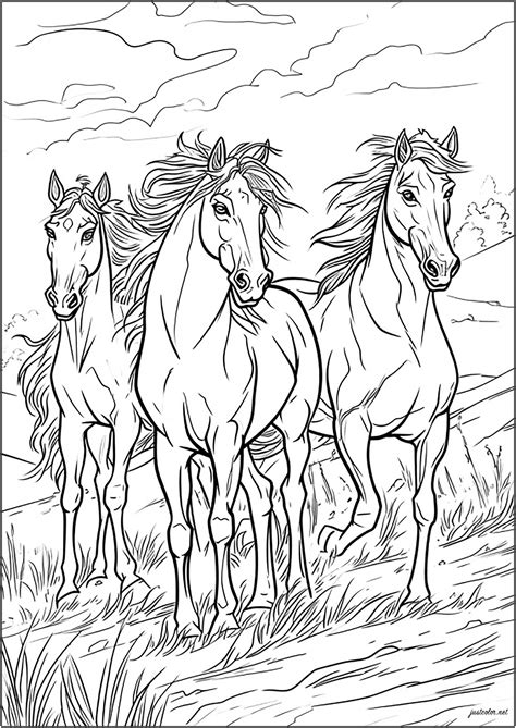 Horse coloring pages for therapy