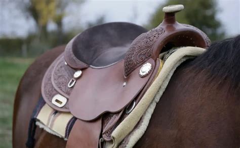 Horse saddle care