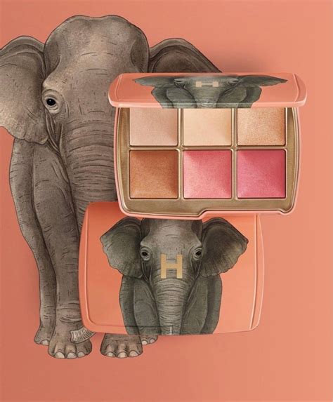 Hourglass Elephant Palette Look 5