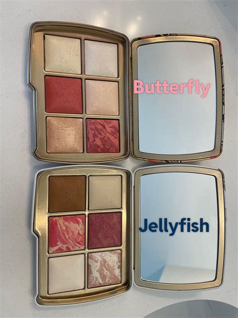 Hourglass Palette Jellyfish Behavior