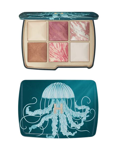 Hourglass Palette Jellyfish Bioluminescence