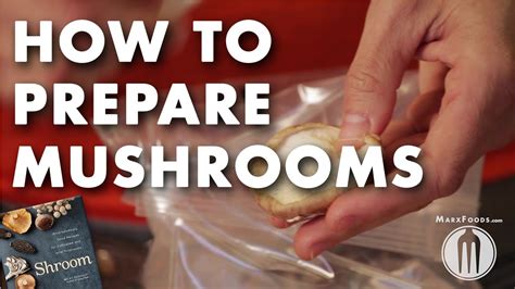 How to Prepare for Mushroom Events