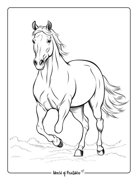 How to choose horse coloring pages