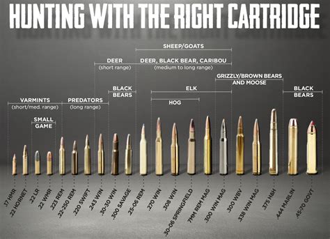 How to Choose the Right.22 AR Bullets