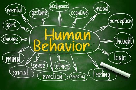 human behavior