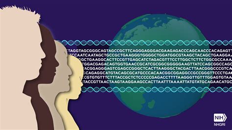 Human Genome Discovery in 2003