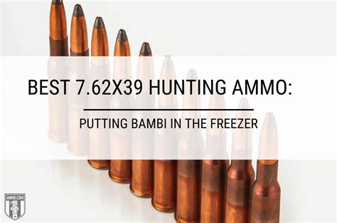 Hunting ammunition