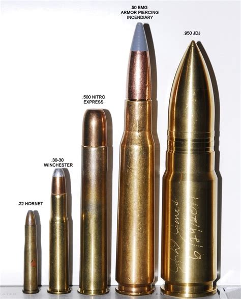 Hunting with 950 JDJ Ammunition