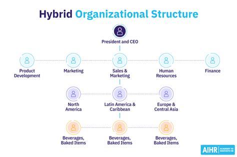 Hybrid Organization