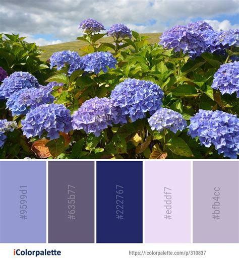 Hydrangea color palette