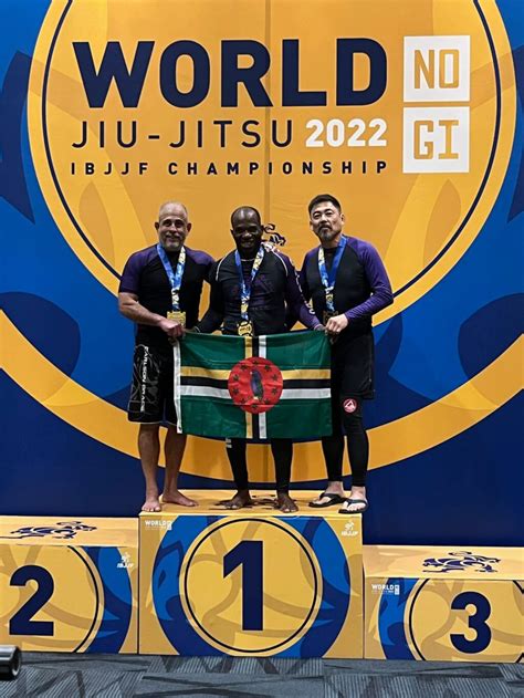 IBJJF Gi Championship image