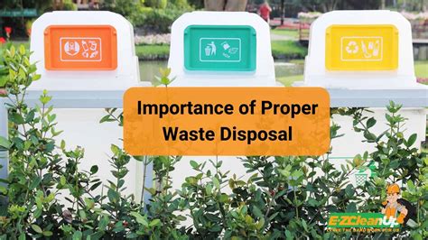 Importance of Proper Waste Disposal in Dekalb County