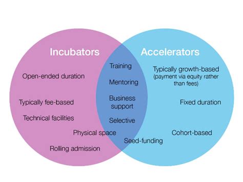 Incubation and Acceleration