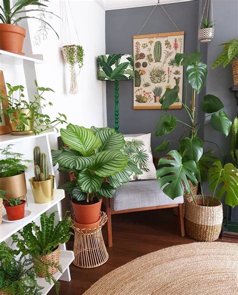 Indoor plants can help to reduce stress and anxiety