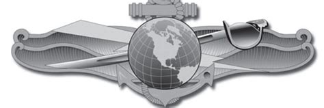 Information Warfare Pin