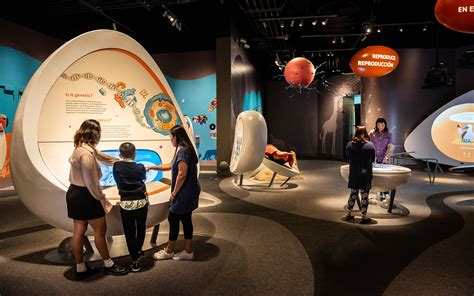 Interactive Exhibits at Dodge Museum