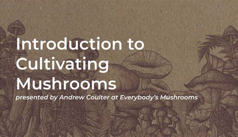 Introduction to Mushroom Events