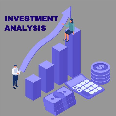 Description of Investor Analyze