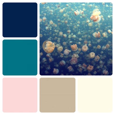 Ivory and coral color palette