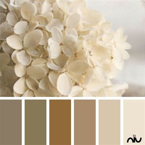 Ivory and silver color palette