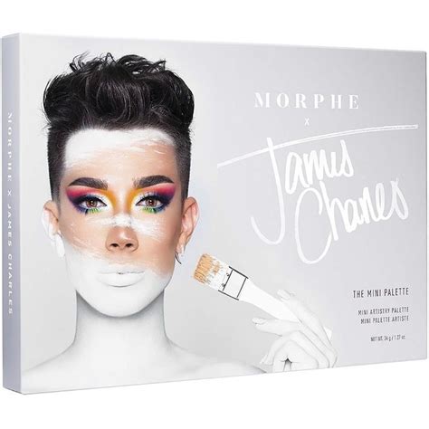 James Charles Eye Palette Accessibility