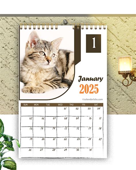 Description of January 2025 wall calendars