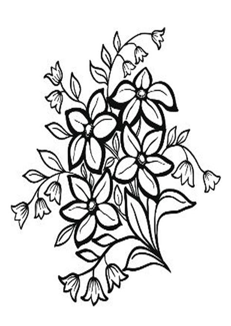 Jasmine flower coloring pages printable for relaxation