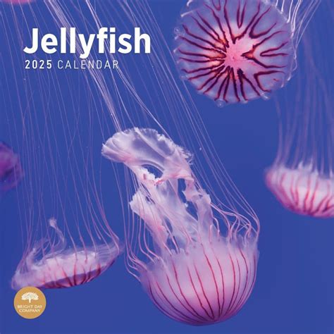 Oahu Jellyfish Calendar Overview