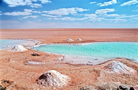 Jerid desert