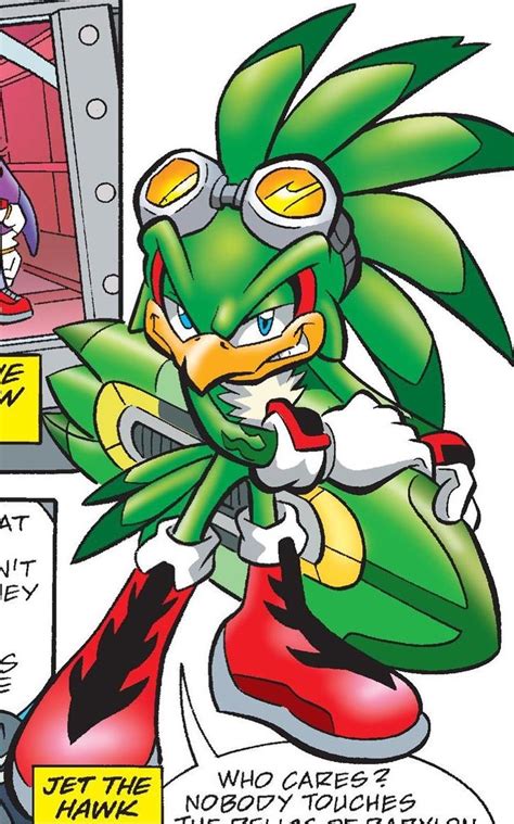 Jet the Hawk Role in Sonic Universe