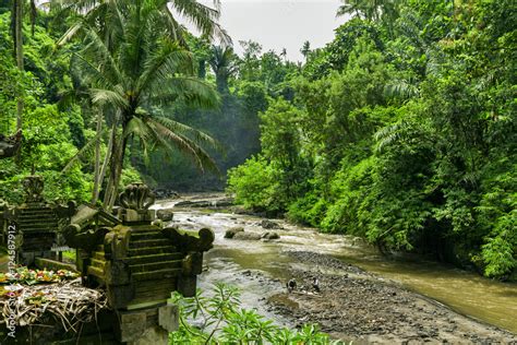 Jungle River Image