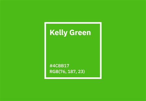 Kelly Green Branding