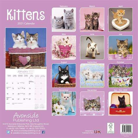 Kitten Calendars