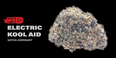 Kool Aid Strain Origins