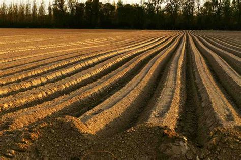 Land Preparation