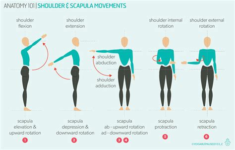 Lateral Arm Movements for High Velocity Arms