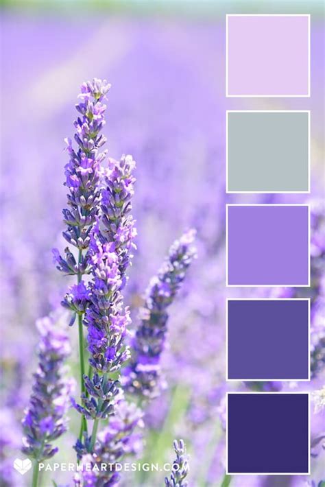 Lavender Dream Beauty Inspiration