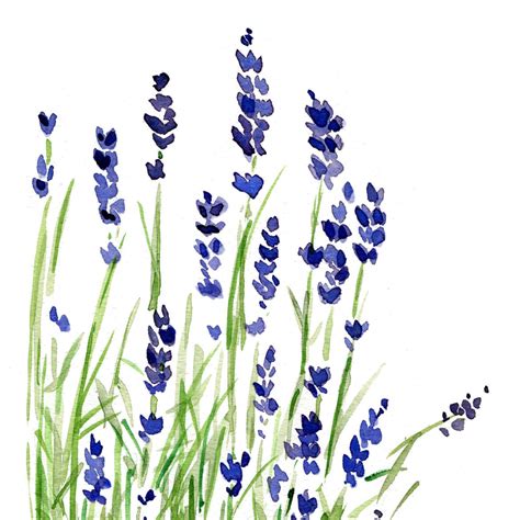 Lavender Printable Flower