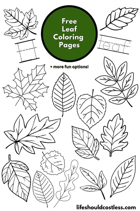 Leaf-themed coloring pages